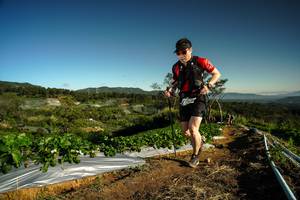 BIB: 
                            <button type="button" onclick="openModal(19121133)" class="btn btn-primary btn-sm float-right btn-popup" data-toggle="modal" data-target=".modal-high-quality">
                        <i class="fas fa-shopping-cart"></i> Add to Cart
                    </button>
                                            <button type="button" onclick="isThisMe(19121133, true)" class="btn btn-success btn-sm float-right btn-popup btn-isme hidden" data-toggle="tooltip" data-placement="bottom" title="นี่คือรูปของคุณใช่ไหม คลิกที่นี่เพื่อเอาเข้าอัลบั้ม">
                        <i class="fas fa-plus"></i> Add to album
                    </button>
                    <button type="button" onclick="isThisMe(19121133, false)" class="btn btn-warning btn-sm float-right btn-popup btn-isnotme hidden">
                        <i class="fas fa-ban"></i> Remove from album
                    </button>